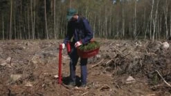 Pottiputki Istutusputki 55 Mm DP -Petzl Kauppa 366371356 640