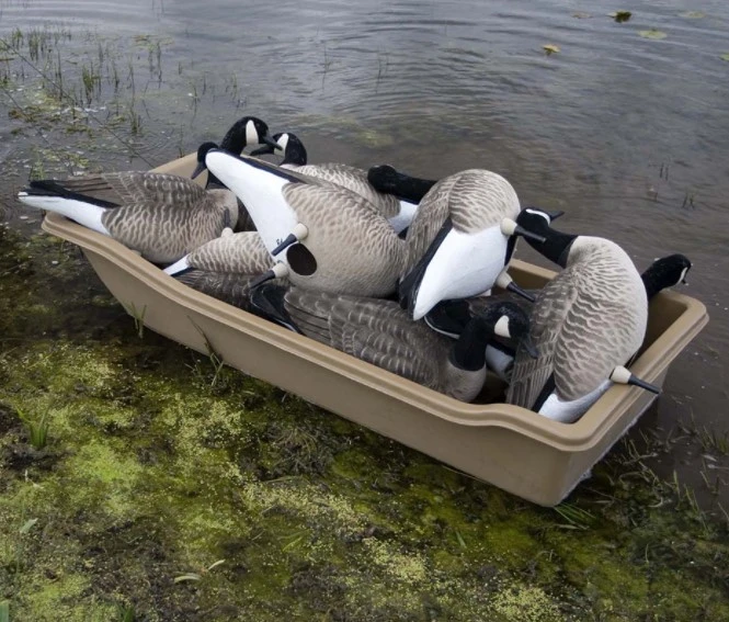 Beavertail Medium Sport - Pulkka 4 Beavertail Medium Sport - Pulkka - Image 2