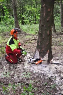 Nordforest Mekaaninen Kaatokiila -Petzl Kauppa nordforest mekaaninen kaatokiila5 e4023