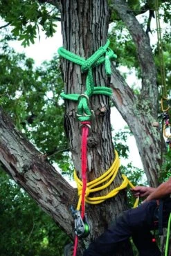 Notch Backbone -Petzl Kauppa r901 2