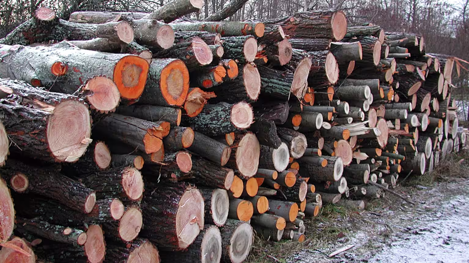 Petzl Kauppa -Petzl Kauppa 13 3 5717525